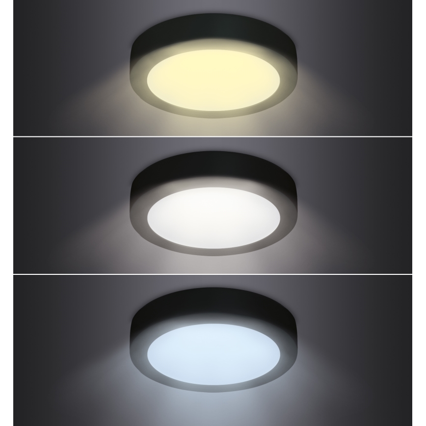 LED Stropna svjetiljka LED/24W/230V 3000/4000/6000K crna okrugli