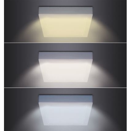 LED stropna svjetiljka LED/24W/230V 3000/4000/6000K 30x30 cm bijela