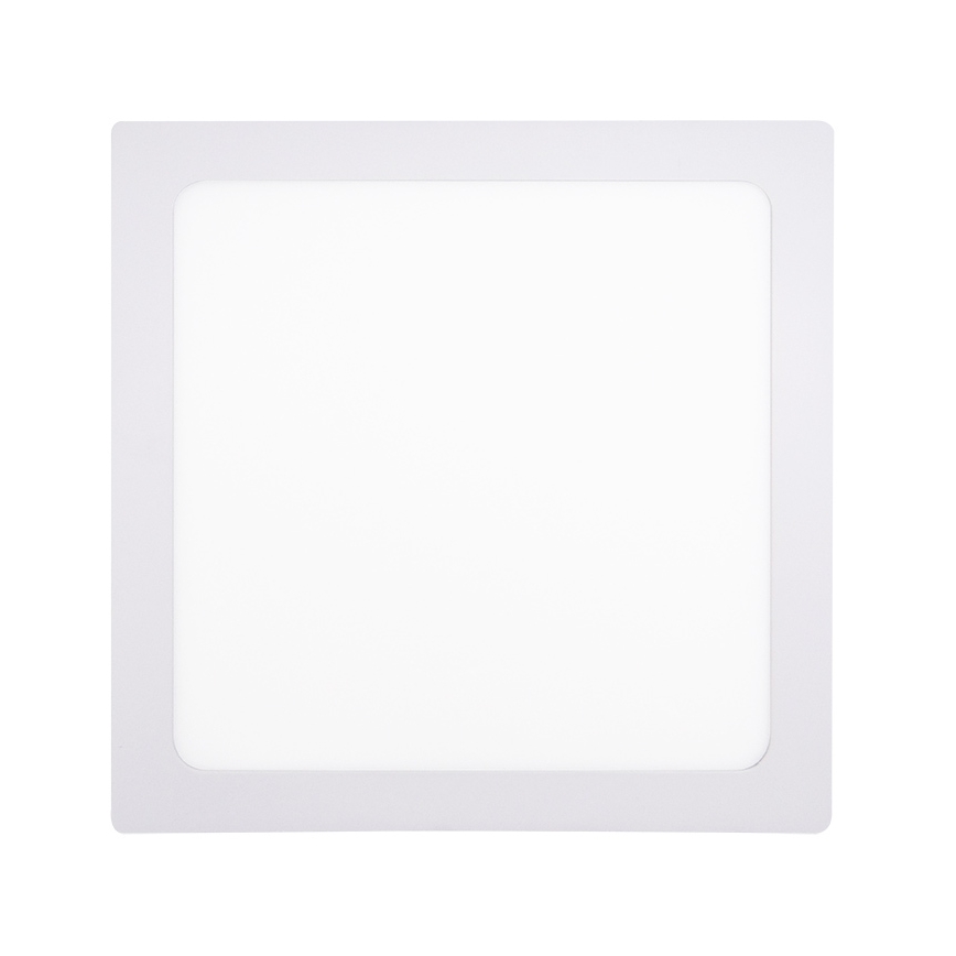 LED stropna svjetiljka LED/24W/230V 3000/4000/6000K 30x30 cm bijela