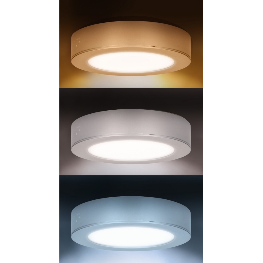 LED panel 2 u 1 (nadgradni/ugradni) LED/12W/230V 3000/4000/6000K Ø17 cm IP54 srebrni