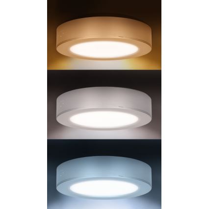 LED panel za površinsku ili ugradbenu montažu 2 u 1 LED/12W/230V 3000/4000/6000K pr.17cm IP54 bijela