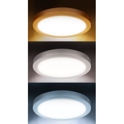 LED panel 2 u 1 za površinsku i ugradbenu montažu 18W/230V 3000/4000/6000K Ø 22,5 cm IP54 srebrni