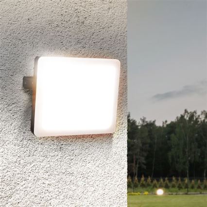 LED Vanjski reflektor LED/30W/230V 4000K IP65