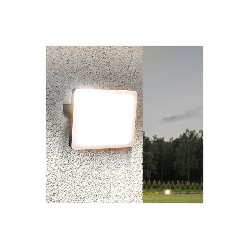 LED Vanjski reflektor LED/30W/230V 4000K IP65