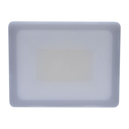 LED Vanjski reflektor LED/30W/230V 4000K IP65