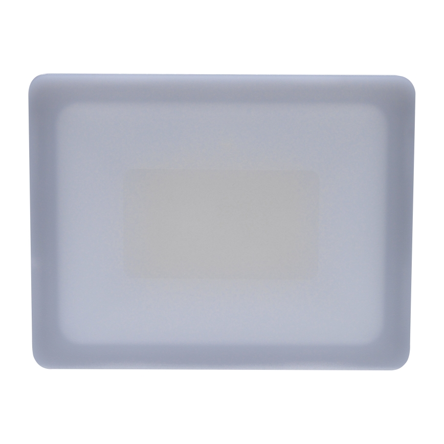 LED Vanjsko reflektorsko svjetlo LED/30W/230V 4000K IP65