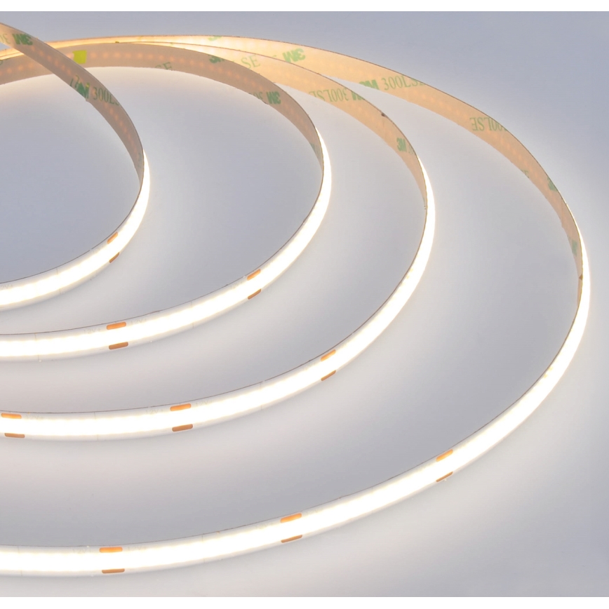 LED Traka LED/8W/m/230V 4000K 5m
