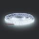 LED Traka LED/50W/12V 5m hladna bijela