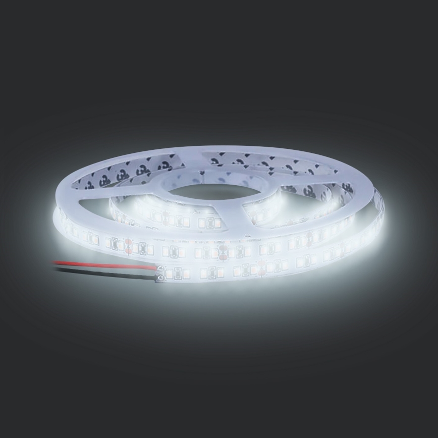 LED Traka LED/50W/12V 5m hladna bijela
