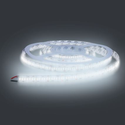 LED Traka LED/80W/12V 5m hladna bijela