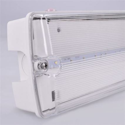 LED Panik svjetiljka LED/6W/230V IP65 6500K