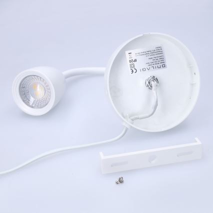 LED Prigušiva zidna lampica LED/4W/230V
