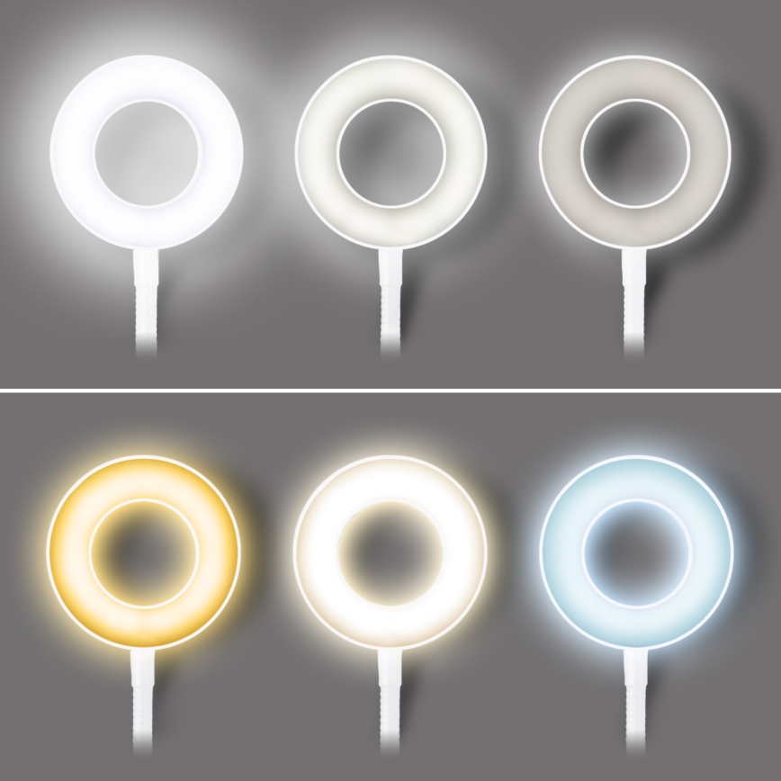 LED stolna lampa s mogućnošću prigušivanja i stezaljkom LED/8W/230V 3000/4000/5000K bijela