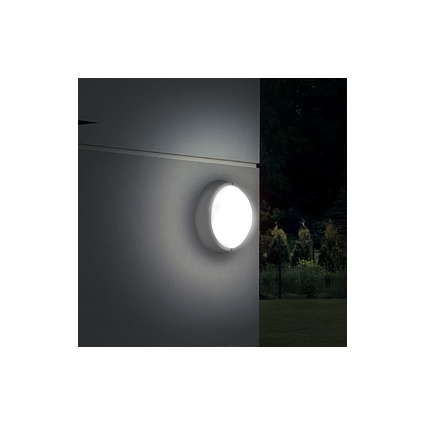 LED Vanjska stropna svjetiljka 1xLED/18W/230V  IP65