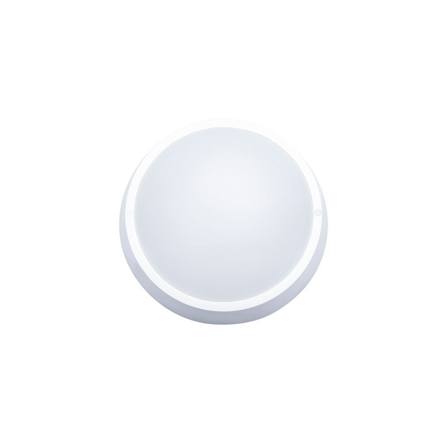 LED Vanjska stropna svjetiljka 1xLED/30W/230V  IP65