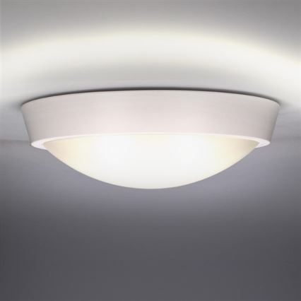 LED Vanjska stropna svjetiljka 1xLED/30W/230V  IP65