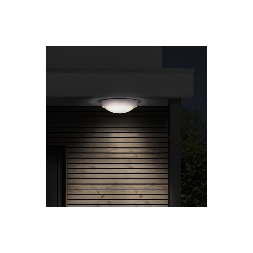 LED Vanjska stropna svjetiljka 1xLED/30W/230V  IP65