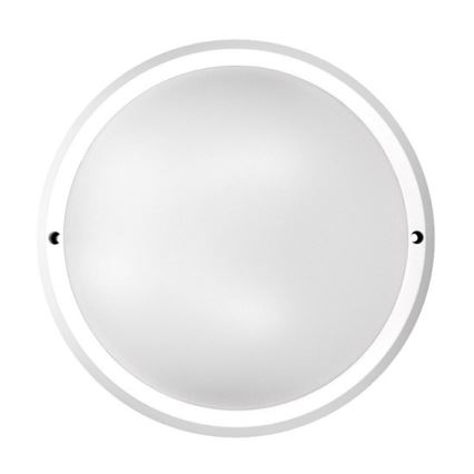 LED vanjsko stropno svjetlo LED/30W/230V  IP65