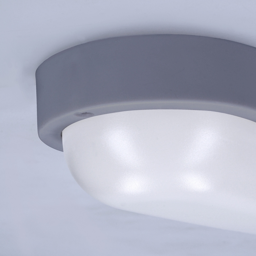 LED Vanjska zidna svjetiljka LED/13W/230V 4000K IP54 siva ovalno