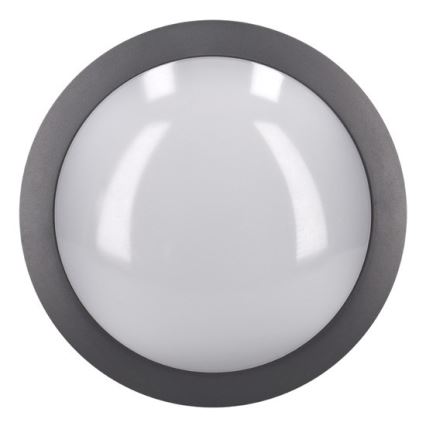 LED Vanjsko stropno svjetlo LED/13W/230V IP54 antracit