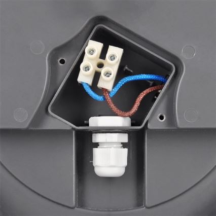 LED Vanjsko stropno svjetlo LED/13W/230V IP54 antracit