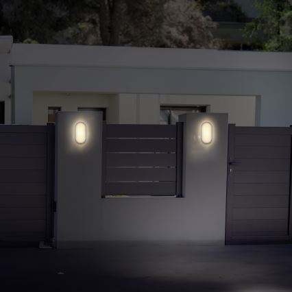 LED Vanjska zidna svjetiljka LED/20W/230V 4000K IP54 siva ovalno