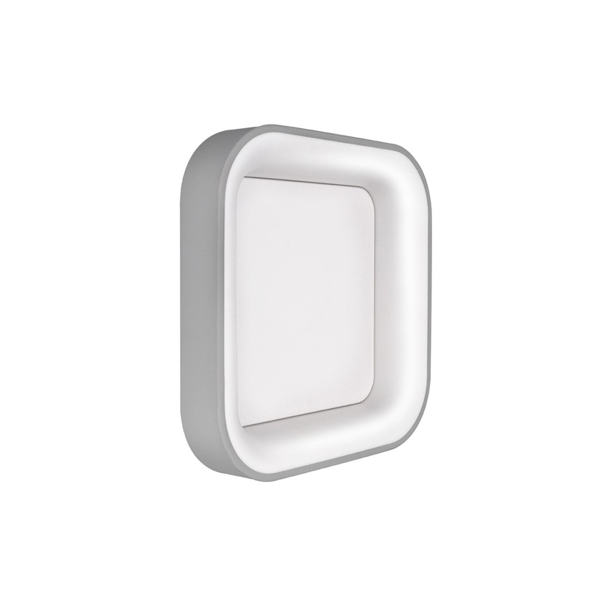 LED Prigušiva stropna svjetiljka TREVISO LED/48W/230V + DU