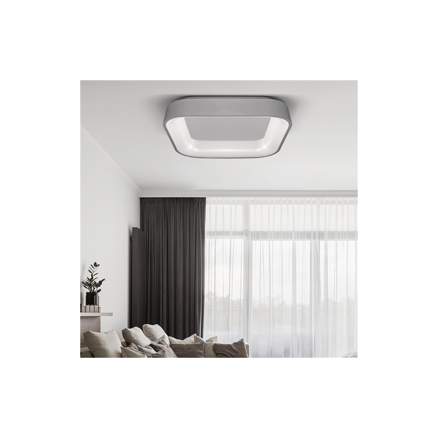 LED Prigušiva stropna svjetiljka TREVISO LED/48W/230V + DU