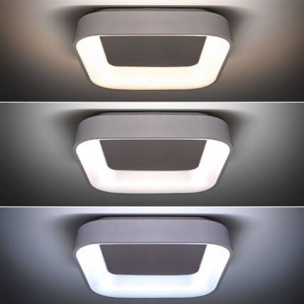 LED Prigušiva stropna svjetiljka LED/48W/230V + daljinsko upravljanje