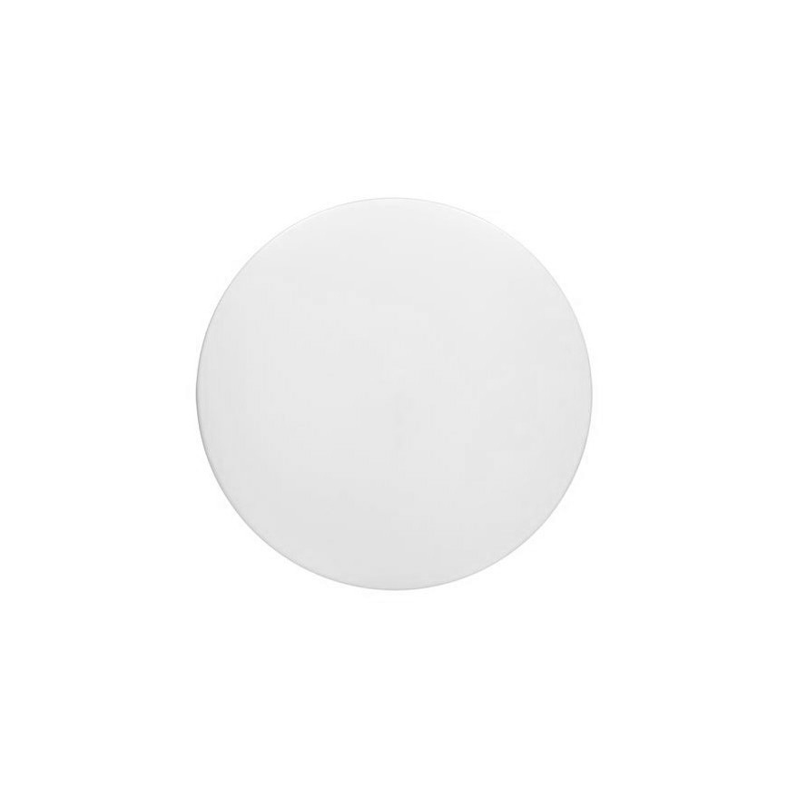 LED Stropna svjetiljka PLAIN LED/24W/230V