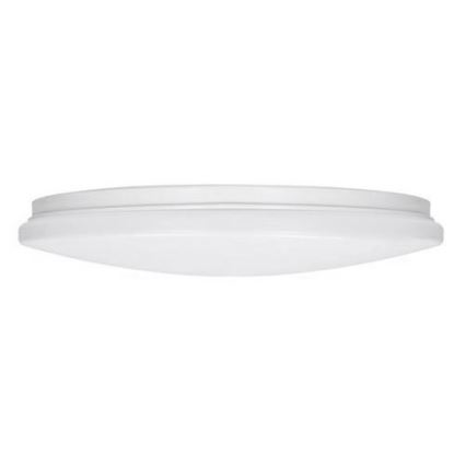 LED Stropna svjetiljka PLAIN LED/24W/230V