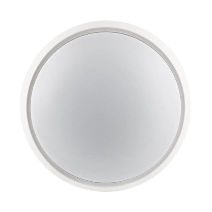 LED Vanjska svjetiljka 2u1 LED/18W/230V IP54