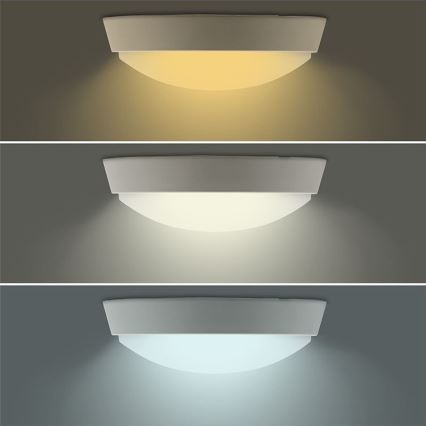 LED Vanjska svjetiljka 2u1 LED/18W/230V IP54