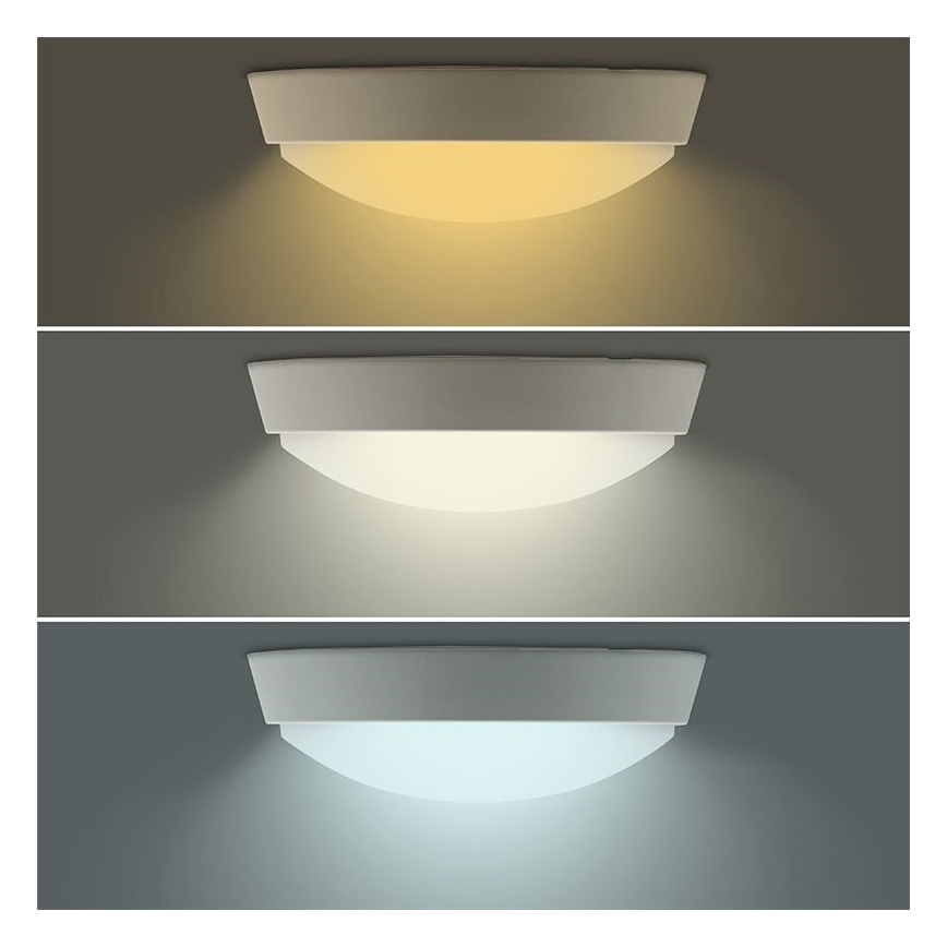 LED Vanjska svjetiljka 2u1 LED/18W/230V IP54