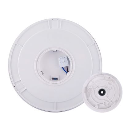 LED Vanjska svjetiljka 2u1 LED/18W/230V IP54