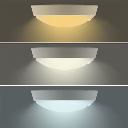 LED vanjsko zidno svjetlo sa senzorom 2u1 LED/20W/230V 3000/4000/6500K IP65 prom. 22 cm