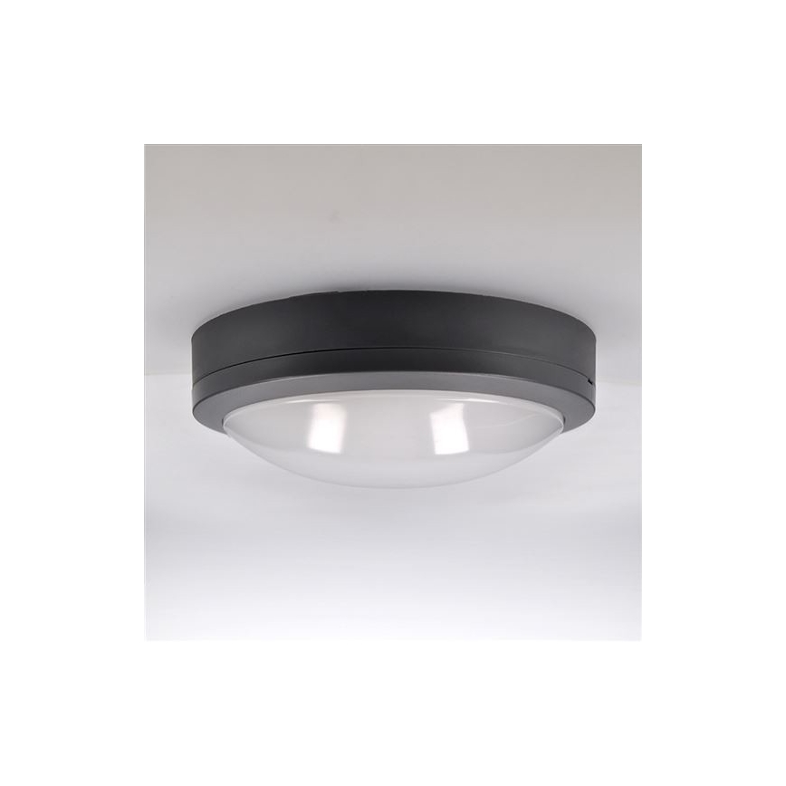 LED Vanjska stropna svjetiljka sa senzorom SIENA LED/20W/230V 4000K pr. 23 cm IP54
