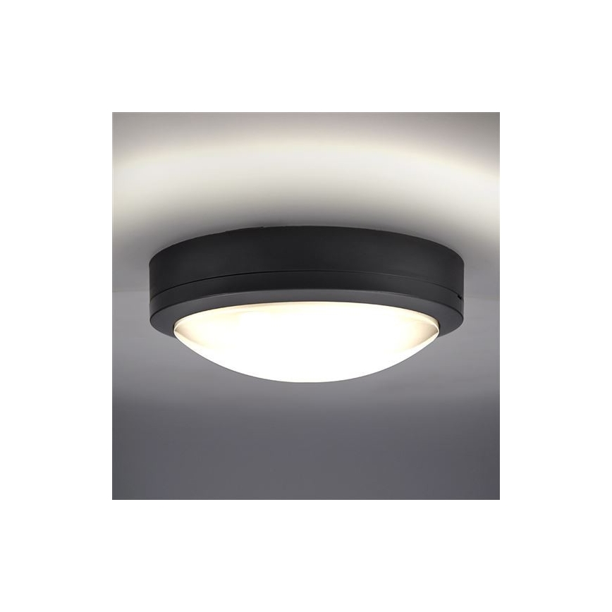 LED Vanjska stropna svjetiljka sa senzorom SIENA LED/20W/230V 4000K pr. 23 cm IP54