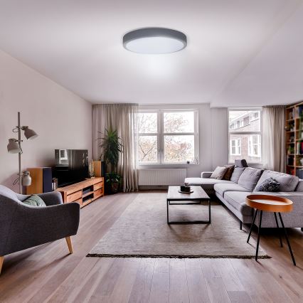 LED Dimmabilna stropna svjetiljka GREY LED/48W/230V 3000-6500K siva promjer 38 cm + daljinski upravljač