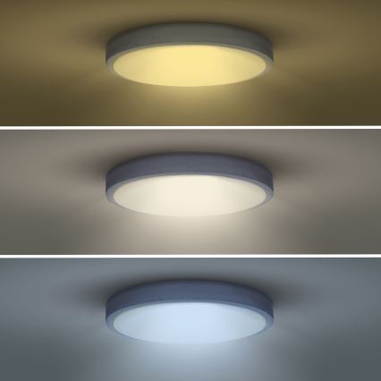 LED Dimmabilna stropna svjetiljka GREY LED/48W/230V 3000-6500K siva promjer 38 cm + daljinski upravljač