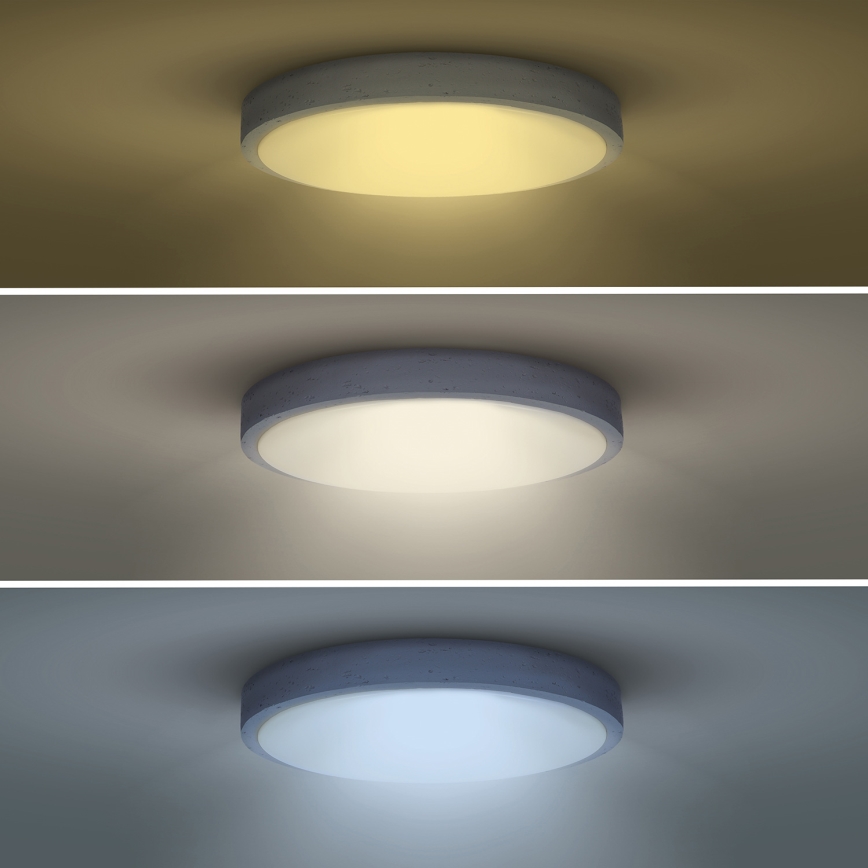 LED Dimmabilna stropna svjetiljka GREY LED/48W/230V 3000-6500K siva promjer 38 cm + daljinski upravljač