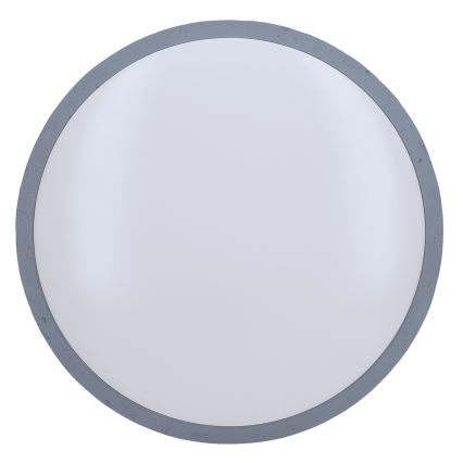 LED Prigušiva stropna svjetiljka GREY LED/60W/230V 3000-6500K siva pr. 49 cm + daljinski upravljač