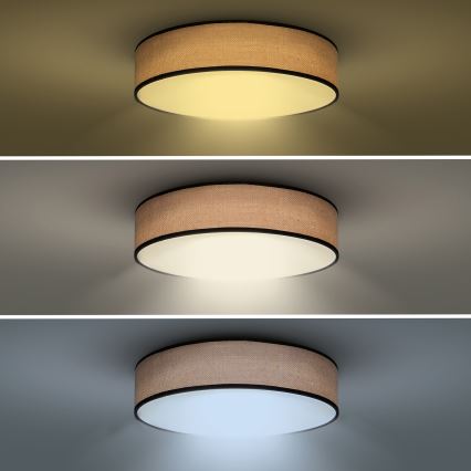 LED Prigušiva stropna svjetiljka BROWNIE LED/48W/230V 3000-6500K smeđa pr. 40 cm + daljinski upravljač