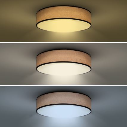 LED Prigušiva stropna svjetiljka BROWNIE LED/60W/230V 3000-6500K smeđa pr. 50 cm + daljinski upravljač