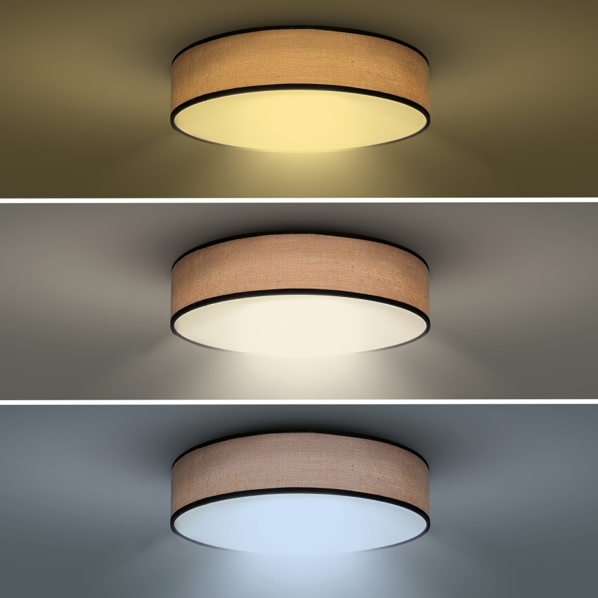 LED Prigušiva stropna svjetiljka BROWNIE LED/60W/230V 3000-6500K smeđa pr. 50 cm + daljinski upravljač