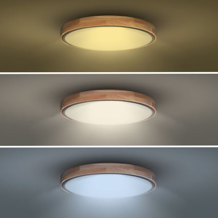 LED Prigušiva stropna svjetiljka IRON OAK LED/48W/230V 3000-6500K hrast pr. 40 cm + daljinski upravljač