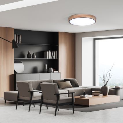 Prigušivo stropno LED svjetlo IRON OAK LED/48W/230V 3000-6500K hrast, promjer 40 cm + daljinski upravljač