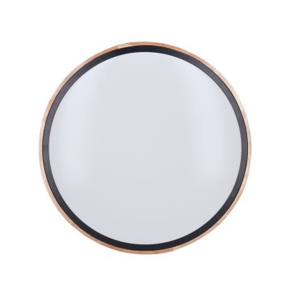 Prigušivo stropno LED svjetlo IRON OAK LED/48W/230V 3000-6500K hrast, promjer 40 cm + daljinski upravljač