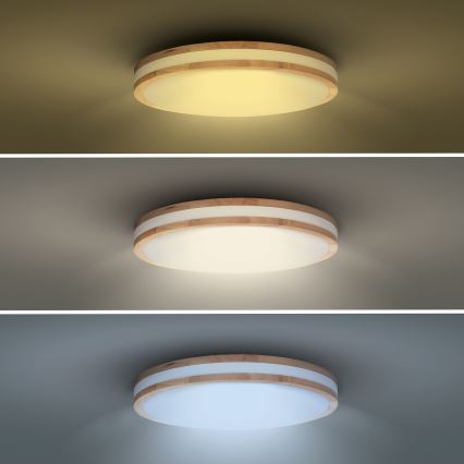 LED Prigušiva stropna svjetiljka WOODY LED/48W/230V 3000-6500K hrast pr. 38 cm + daljinski upravljač