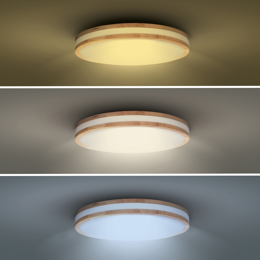 LED Prigušiva stropna svjetiljka WOODY LED/48W/230V 3000-6500K hrast pr. 38 cm + daljinski upravljač